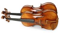Fiddleheads Violin Studio image 6